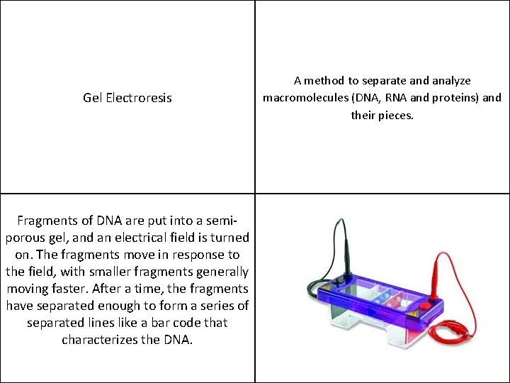 Gel Electroresis Fragments of DNA are put into a semiporous gel, and an electrical