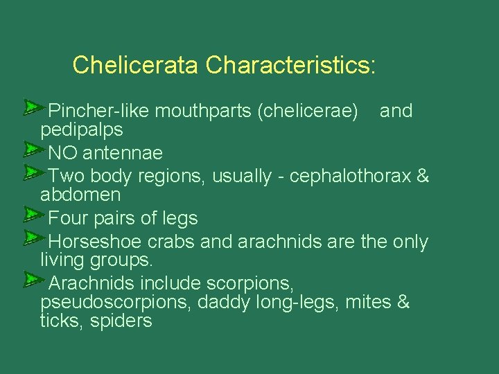 Chelicerata Characteristics: Pincher-like mouthparts (chelicerae) and pedipalps NO antennae Two body regions, usually -