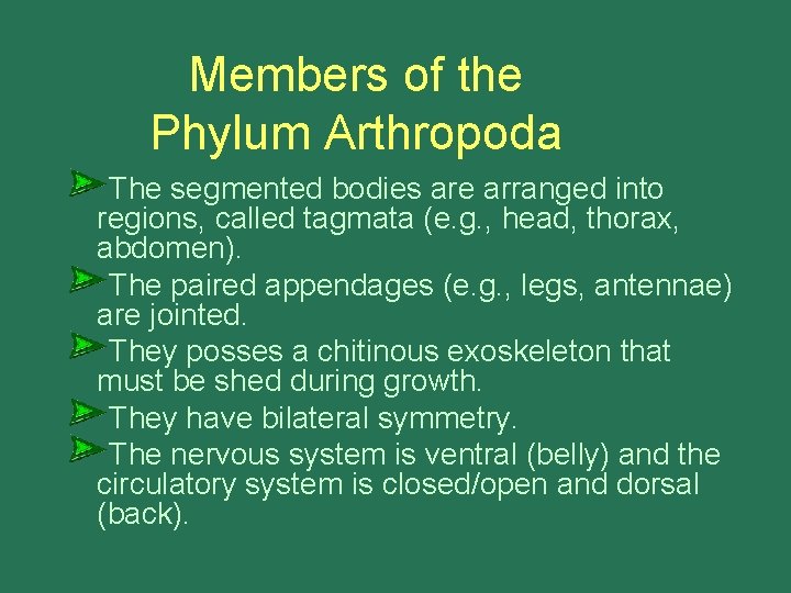 Members of the Phylum Arthropoda The segmented bodies are arranged into regions, called tagmata