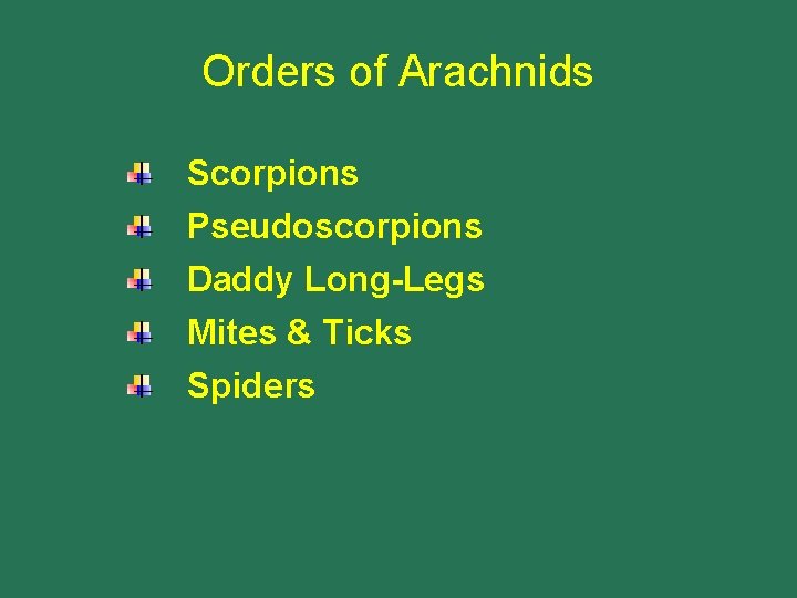 Orders of Arachnids Scorpions Pseudoscorpions Daddy Long-Legs Mites & Ticks Spiders 