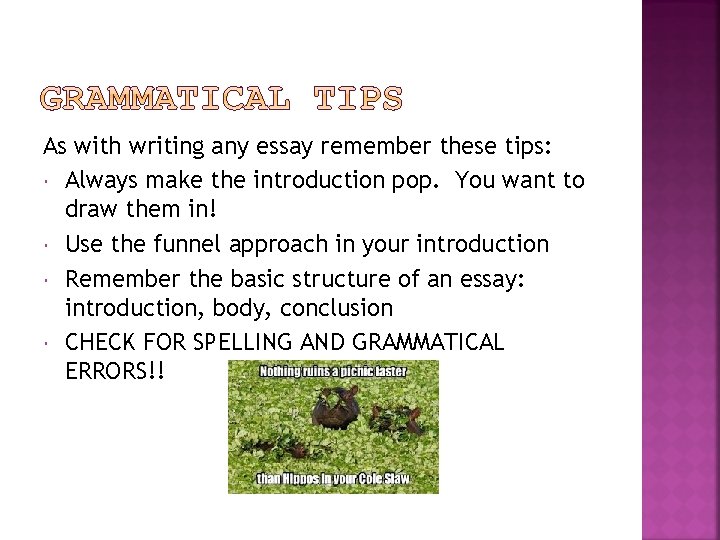 As with writing any essay remember these tips: Always make the introduction pop. You
