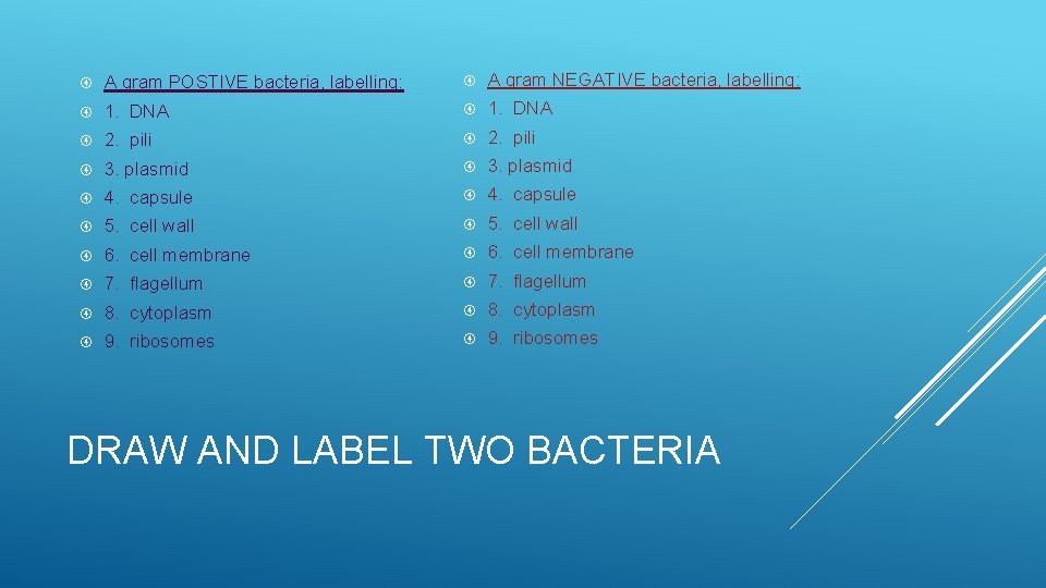  A gram POSTIVE bacteria, labelling: A gram NEGATIVE bacteria, labelling: 1. DNA 2.