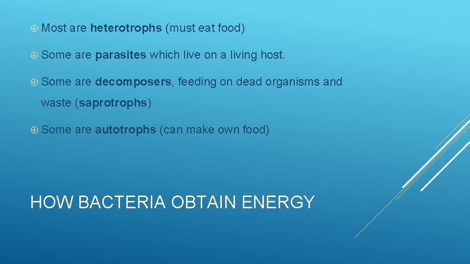  Most are heterotrophs (must eat food) Some are parasites which live on a