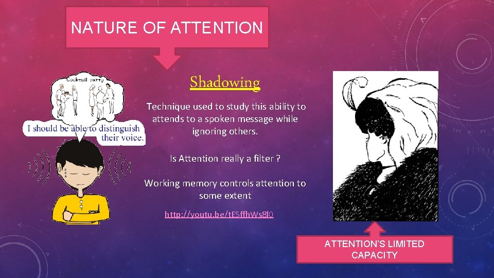 NATURE OF ATTENTION Shadowing Technique used to study this ability to attends to a