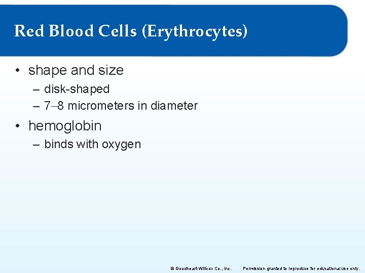 Red Blood Cells (Erythrocytes) • shape and size – disk-shaped – 7– 8 micrometers
