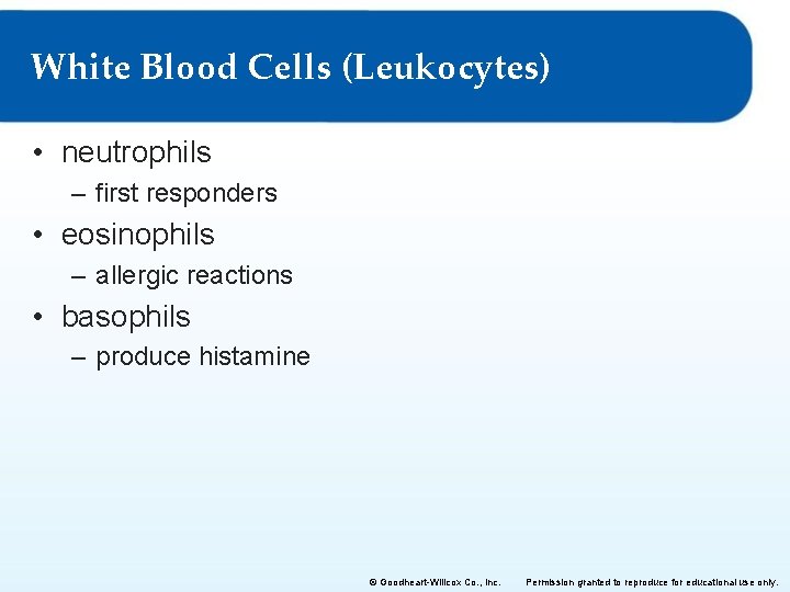 White Blood Cells (Leukocytes) • neutrophils – first responders • eosinophils – allergic reactions
