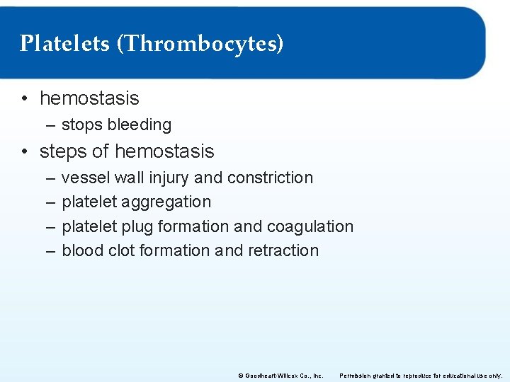 Platelets (Thrombocytes) • hemostasis – stops bleeding • steps of hemostasis – – vessel