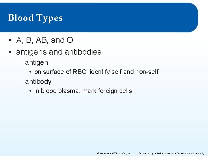 Blood Types • A, B, AB, and O • antigens and antibodies – antigen