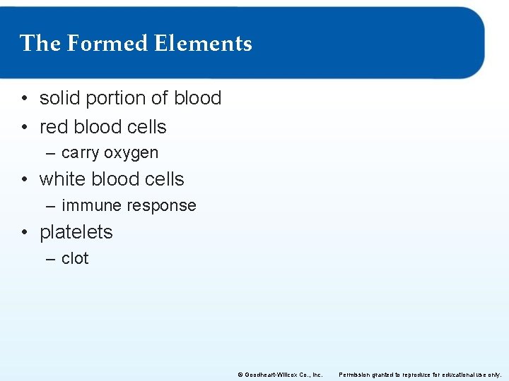 The Formed Elements • solid portion of blood • red blood cells – carry