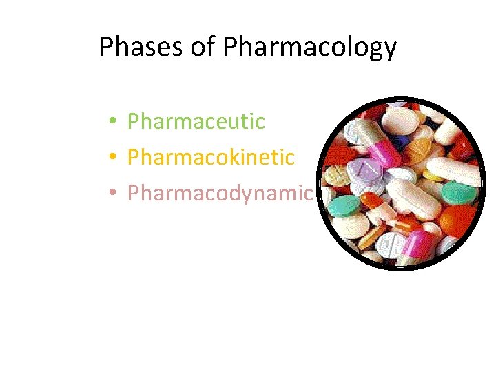 Phases of Pharmacology • Pharmaceutic • Pharmacokinetic • Pharmacodynamic 