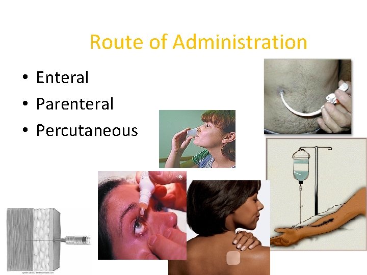 Route of Administration • Enteral • Parenteral • Percutaneous 