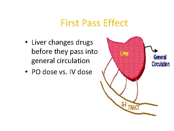 First Pass Effect • Liver changes drugs before they pass into general circulation •