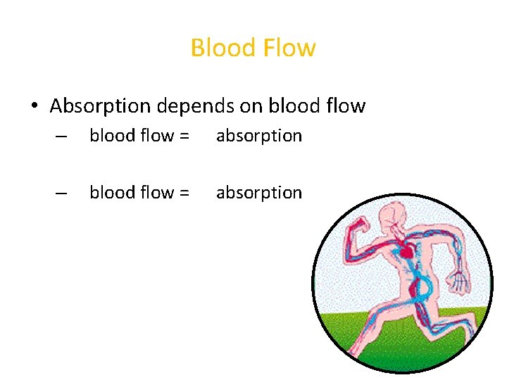 Blood Flow • Absorption depends on blood flow – blood flow = absorption 