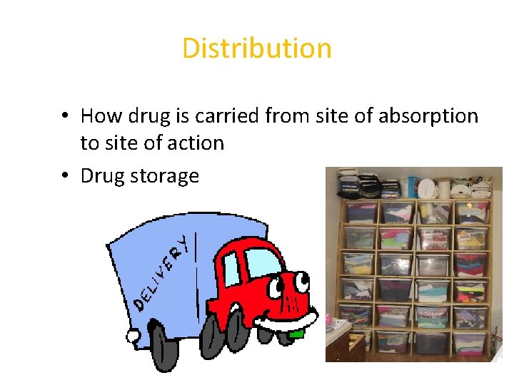 Distribution • How drug is carried from site of absorption to site of action