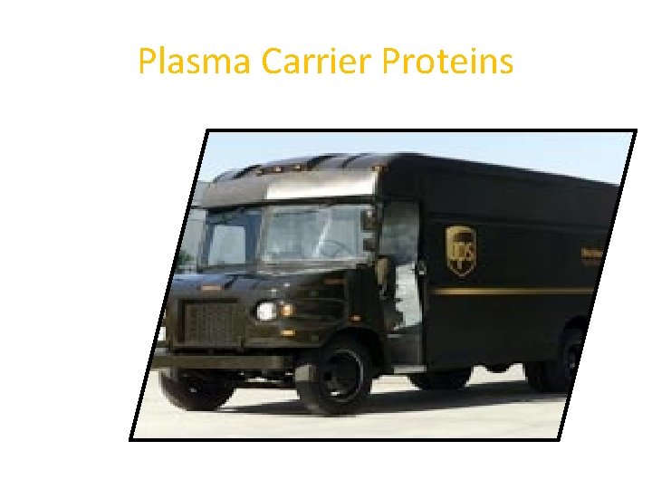 Plasma Carrier Proteins 