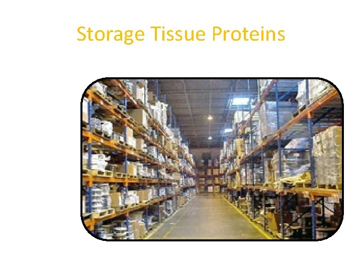 Storage Tissue Proteins 