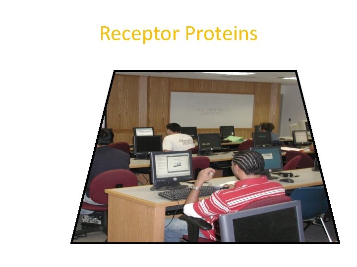 Receptor Proteins 