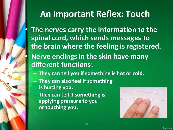 An Important Reflex: Touch • The nerves carry the information to the spinal cord,