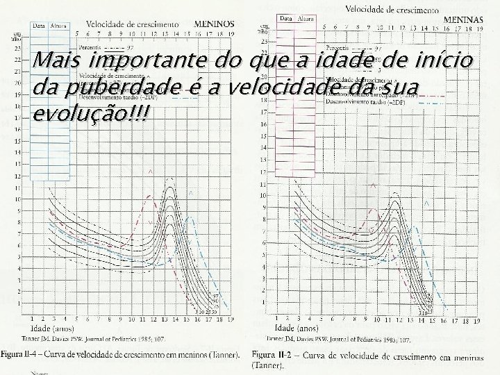 Mais importante do que a idade de início da puberdade é a velocidade da