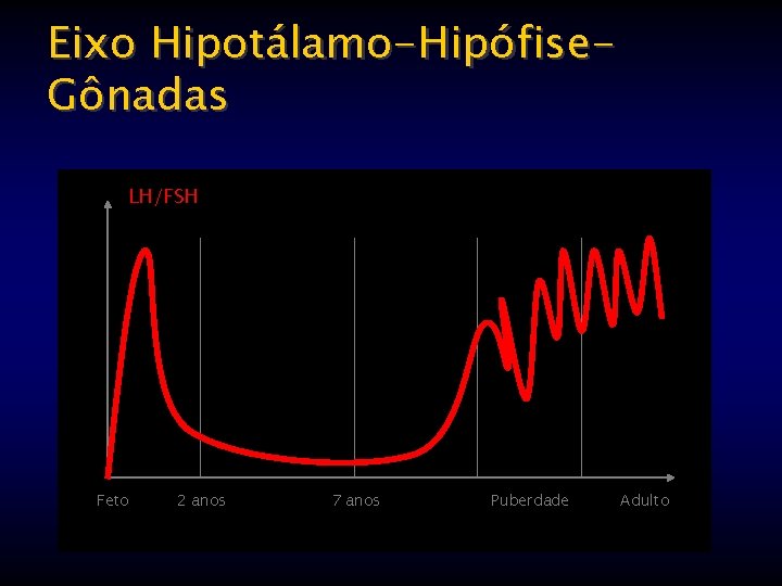 Eixo Hipotálamo-Hipófise. Gônadas LH/FSH Feto 2 anos 7 anos Puberdade Adulto 