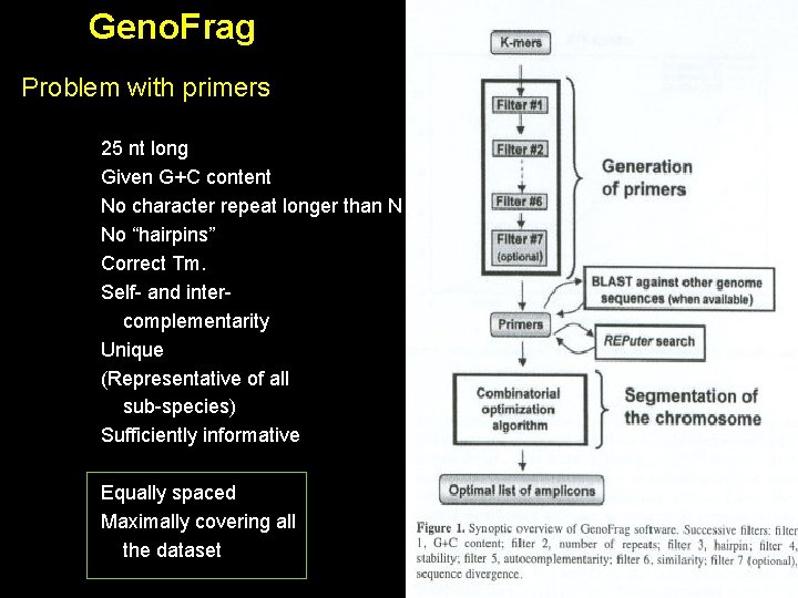 Geno. Frag Problem with primers 25 nt long Given G+C content No character repeat