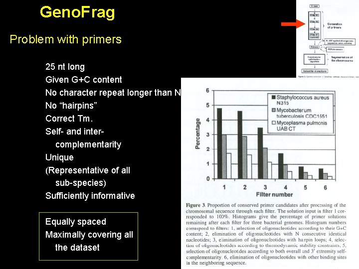 Geno. Frag Problem with primers 25 nt long Given G+C content No character repeat