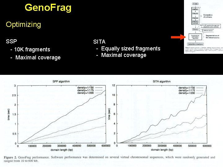 Geno. Frag Optimizing SSP - 10 K fragments - Maximal coverage SITA - Equally