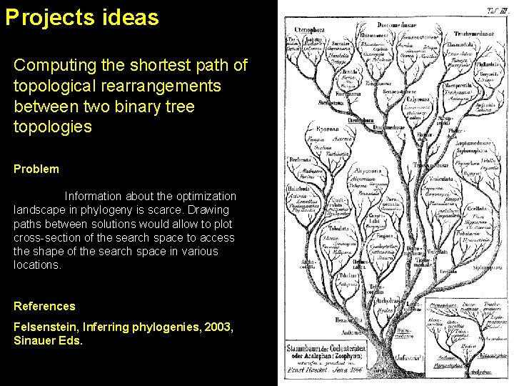 Projects ideas Computing the shortest path of topological rearrangements between two binary tree topologies