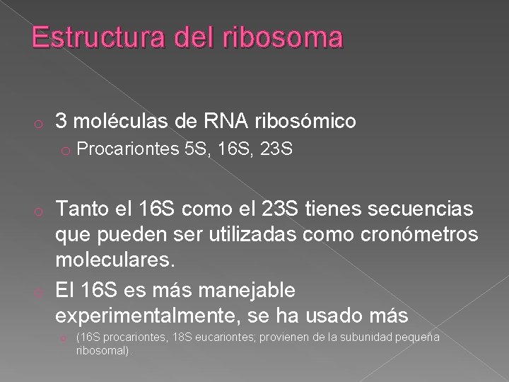 Estructura del ribosoma o 3 moléculas de RNA ribosómico o Procariontes 5 S, 16