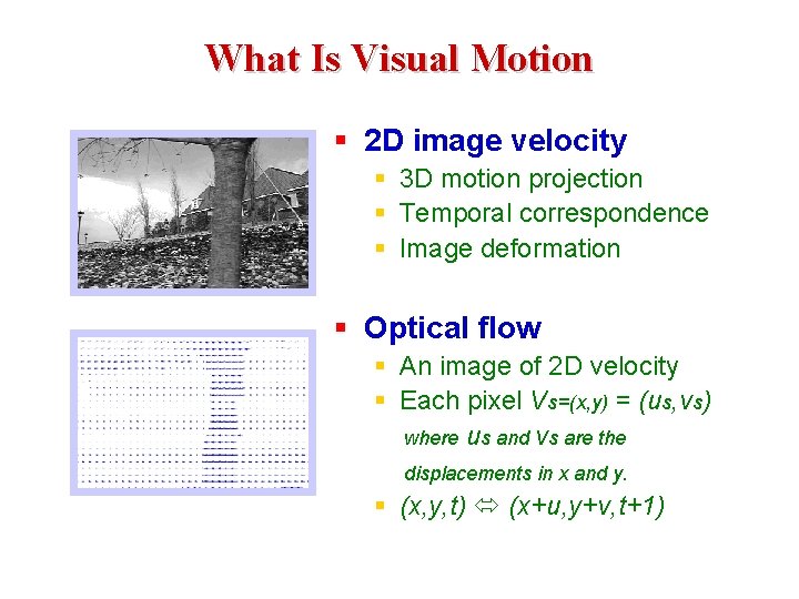 What Is Visual Motion § 2 D image velocity § 3 D motion projection
