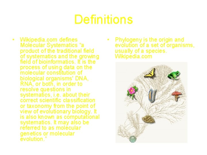 Definitions • Wikipedia. com defines Molecular Systematics “a product of the traditional field of