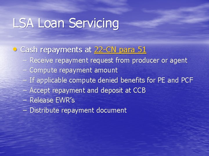 LSA Loan Servicing • Cash repayments at 22 -CN para 51 – – –