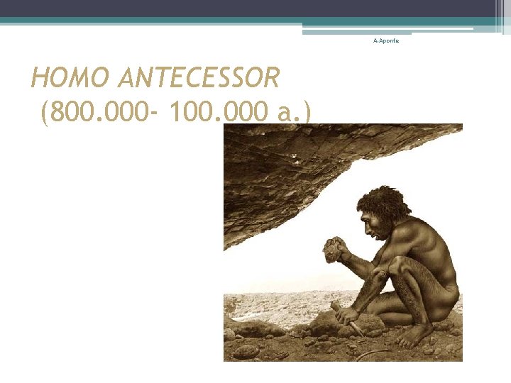 A. Aponte HOMO ANTECESSOR (800. 000 - 100. 000 a. ) 