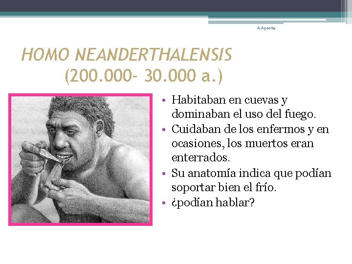 A. Aponte HOMO NEANDERTHALENSIS (200. 000 - 30. 000 a. ) • Habitaban en