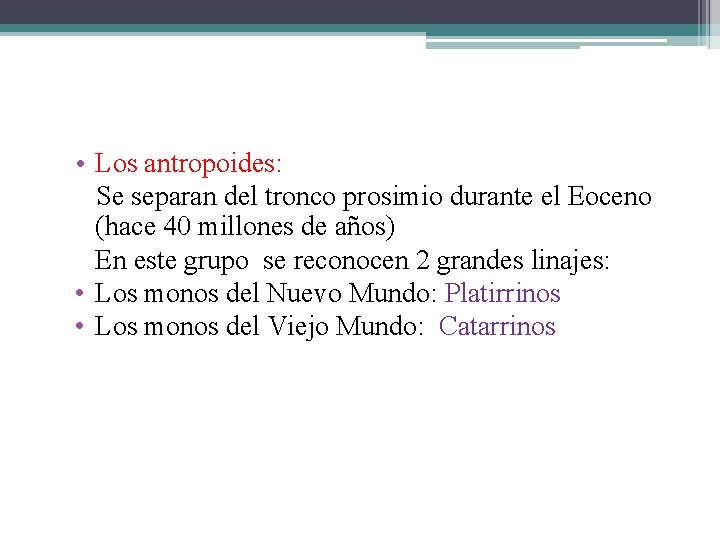  • Los antropoides: Se separan del tronco prosimio durante el Eoceno (hace 40