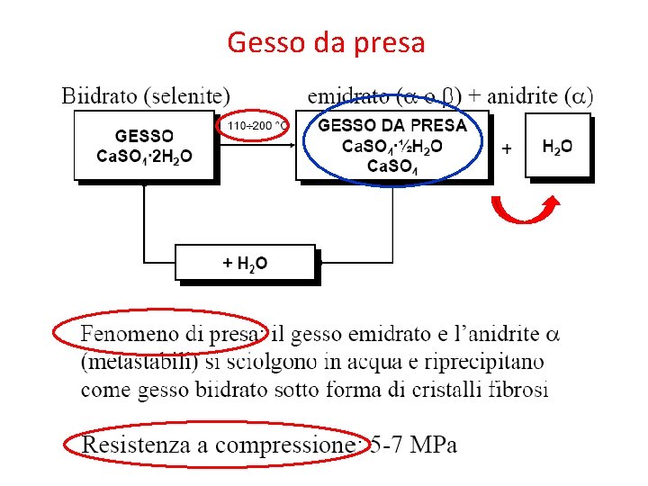 Gesso da presa 