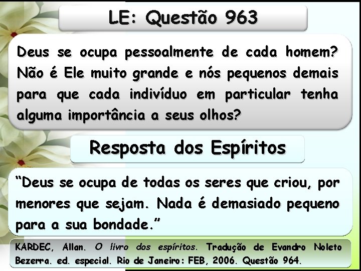 LE: Questão 963 Deus se ocupa pessoalmente de cada homem? Não é Ele muito