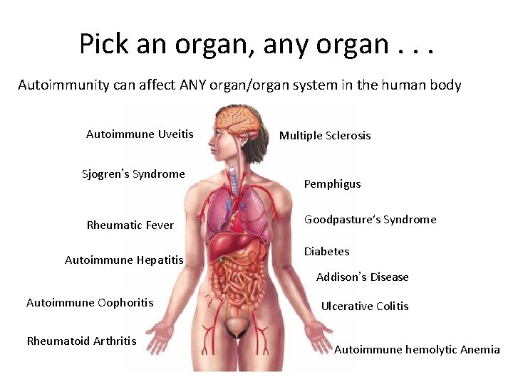 Pick an organ, any organ. . . Autoimmunity can affect ANY organ/organ system in