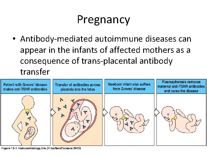 Pregnancy • Antibody-mediated autoimmune diseases can appear in the infants of affected mothers as