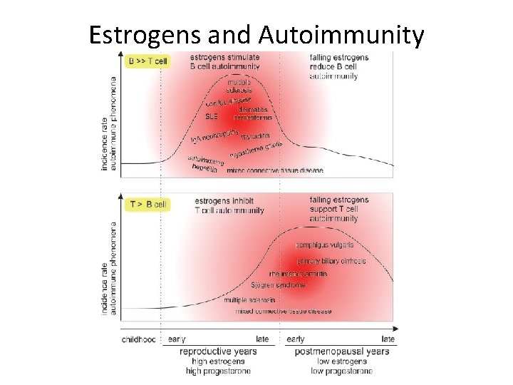 Estrogens and Autoimmunity 