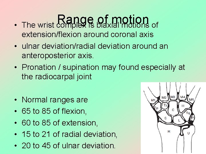  • Range of motion The wrist complex is biaxial motions of extension/flexion around