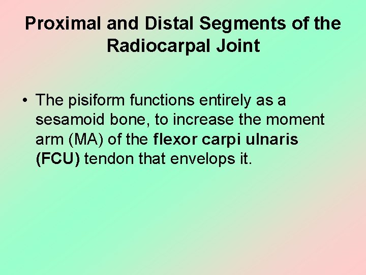 Proximal and Distal Segments of the Radiocarpal Joint • The pisiform functions entirely as