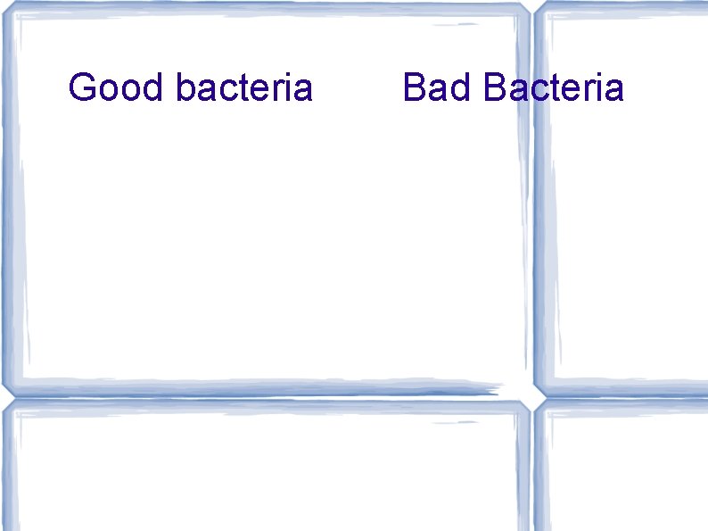 Good bacteria Bad Bacteria 
