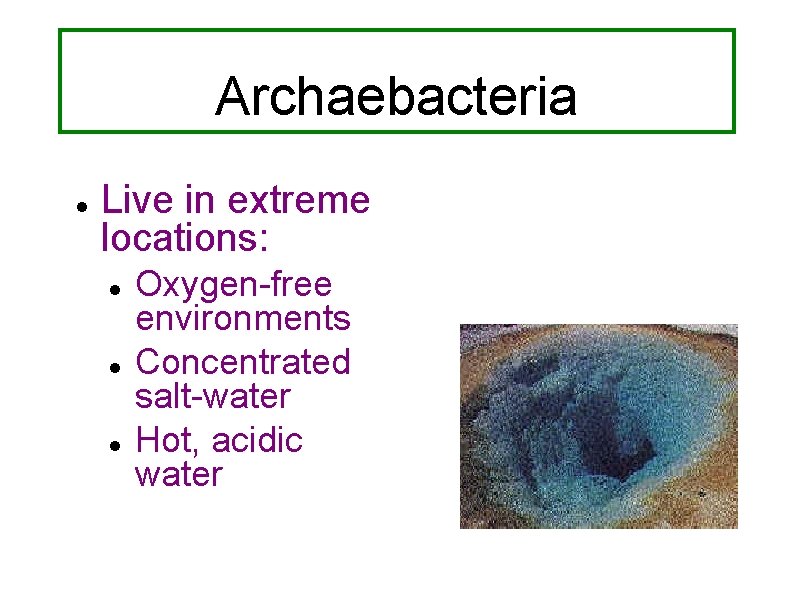 Archaebacteria Live in extreme locations: Oxygen-free environments Concentrated salt-water Hot, acidic water 