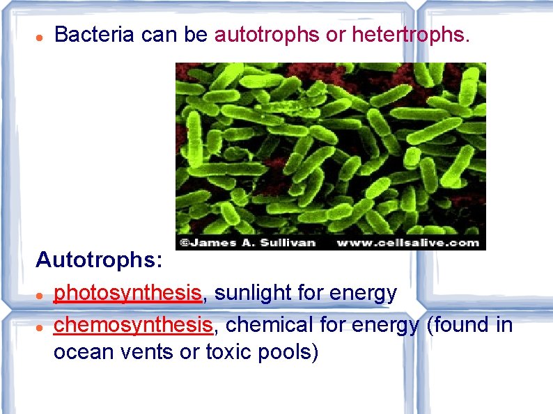  Bacteria can be autotrophs or hetertrophs. Autotrophs: photosynthesis, sunlight for energy chemosynthesis, chemical
