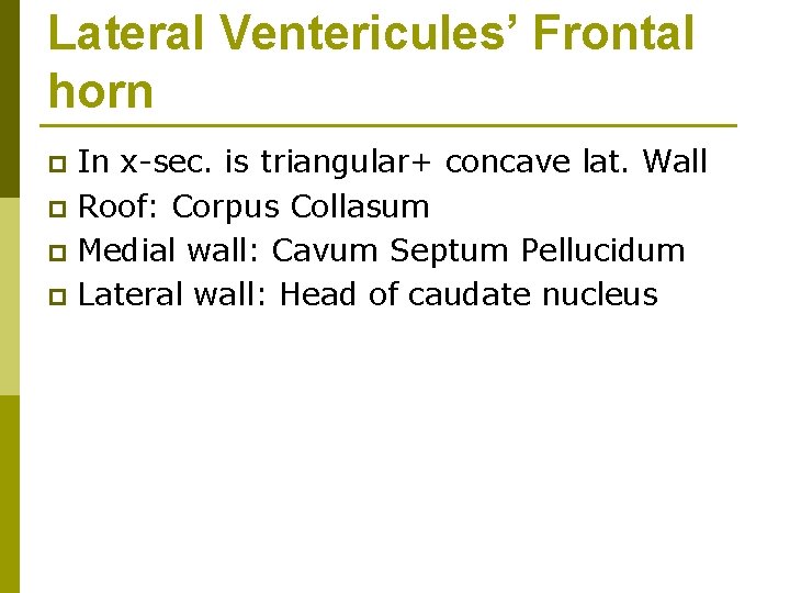 Lateral Ventericules’ Frontal horn In x-sec. is triangular+ concave lat. Wall p Roof: Corpus