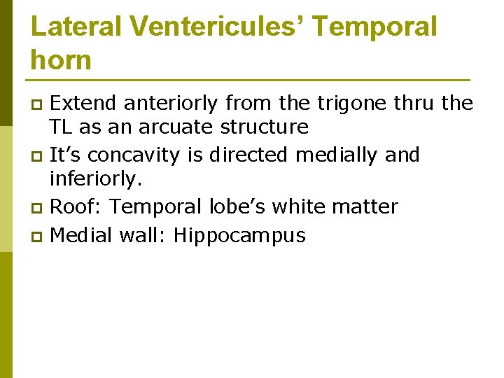 Lateral Ventericules’ Temporal horn Extend anteriorly from the trigone thru the TL as an