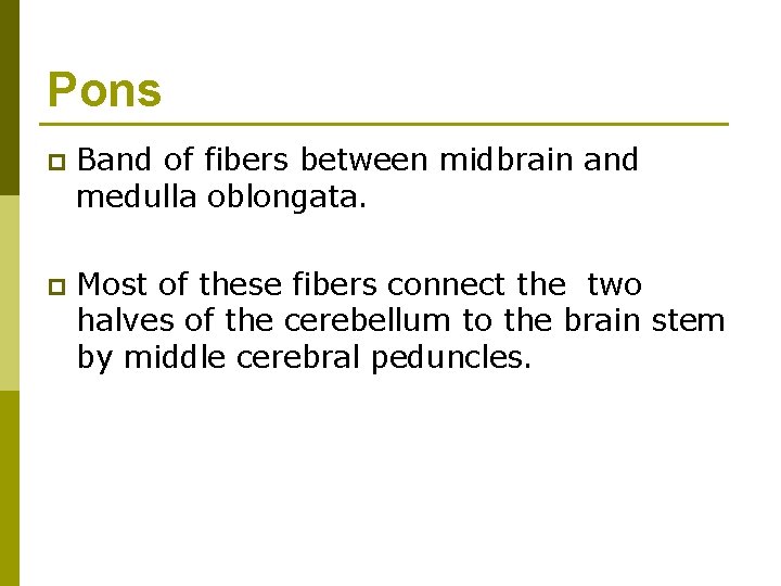 Pons p Band of fibers between midbrain and medulla oblongata. p Most of these