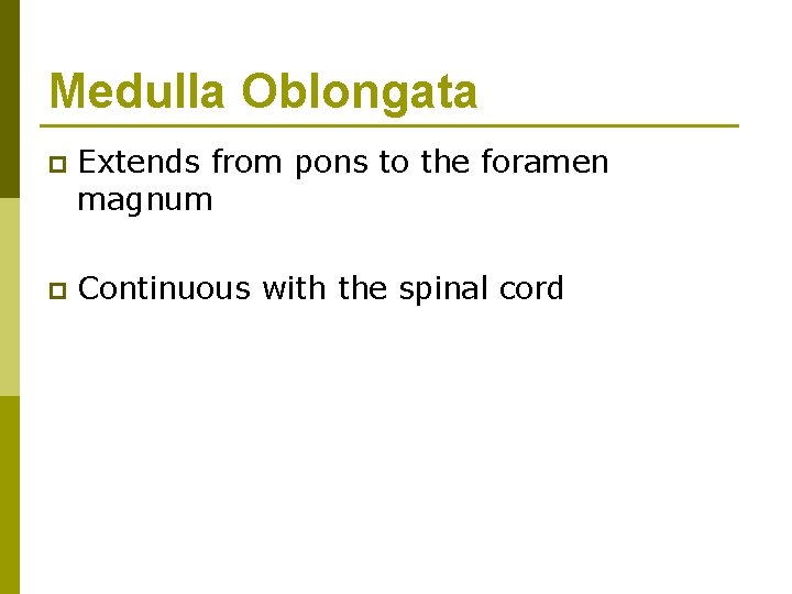 Medulla Oblongata p Extends from pons to the foramen magnum p Continuous with the