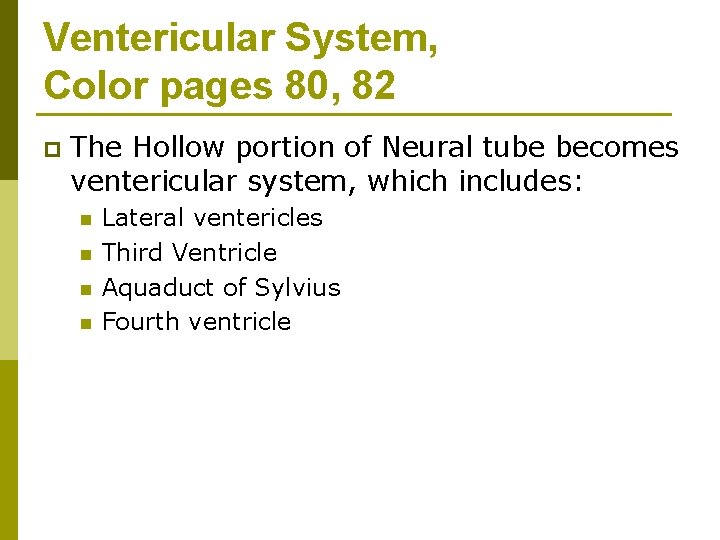 Ventericular System, Color pages 80, 82 p The Hollow portion of Neural tube becomes